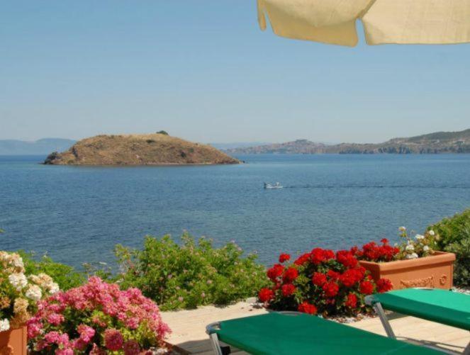 Birds Bay Resort 페트라 객실 사진