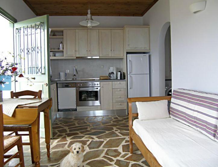 Birds Bay Resort 페트라 객실 사진